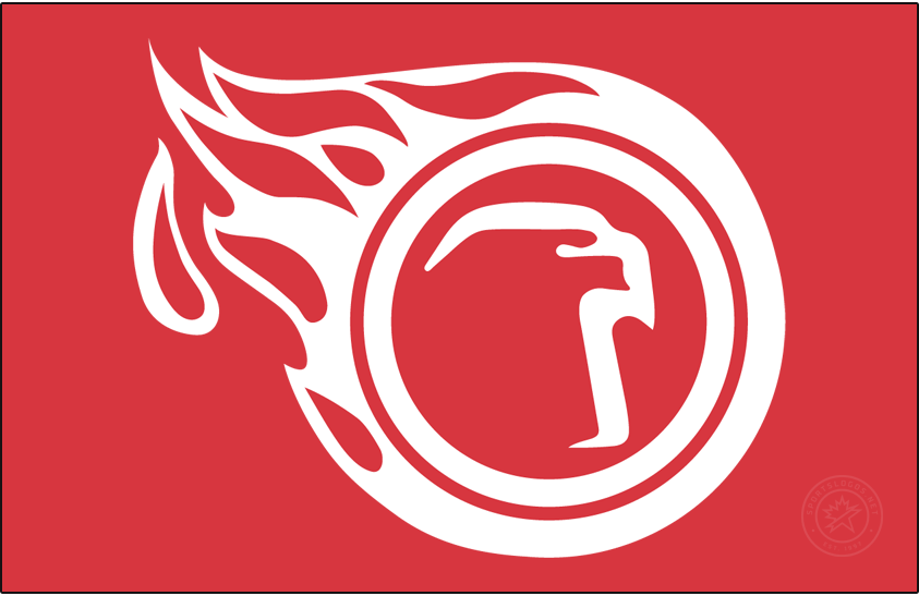 Liberty Flames 1984-1985 Primary Dark Logo diy iron on heat transfer